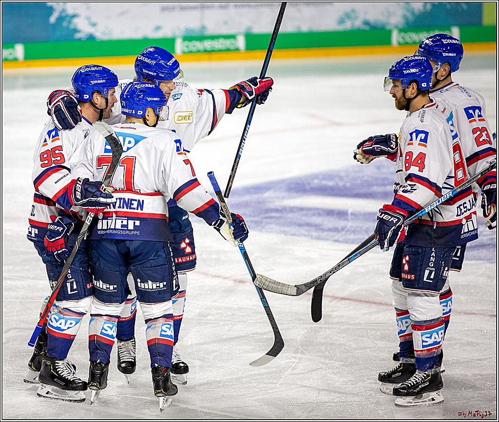 DEL; Koelner Haie - Adler Mannheim; Koeln, 01.11.2019